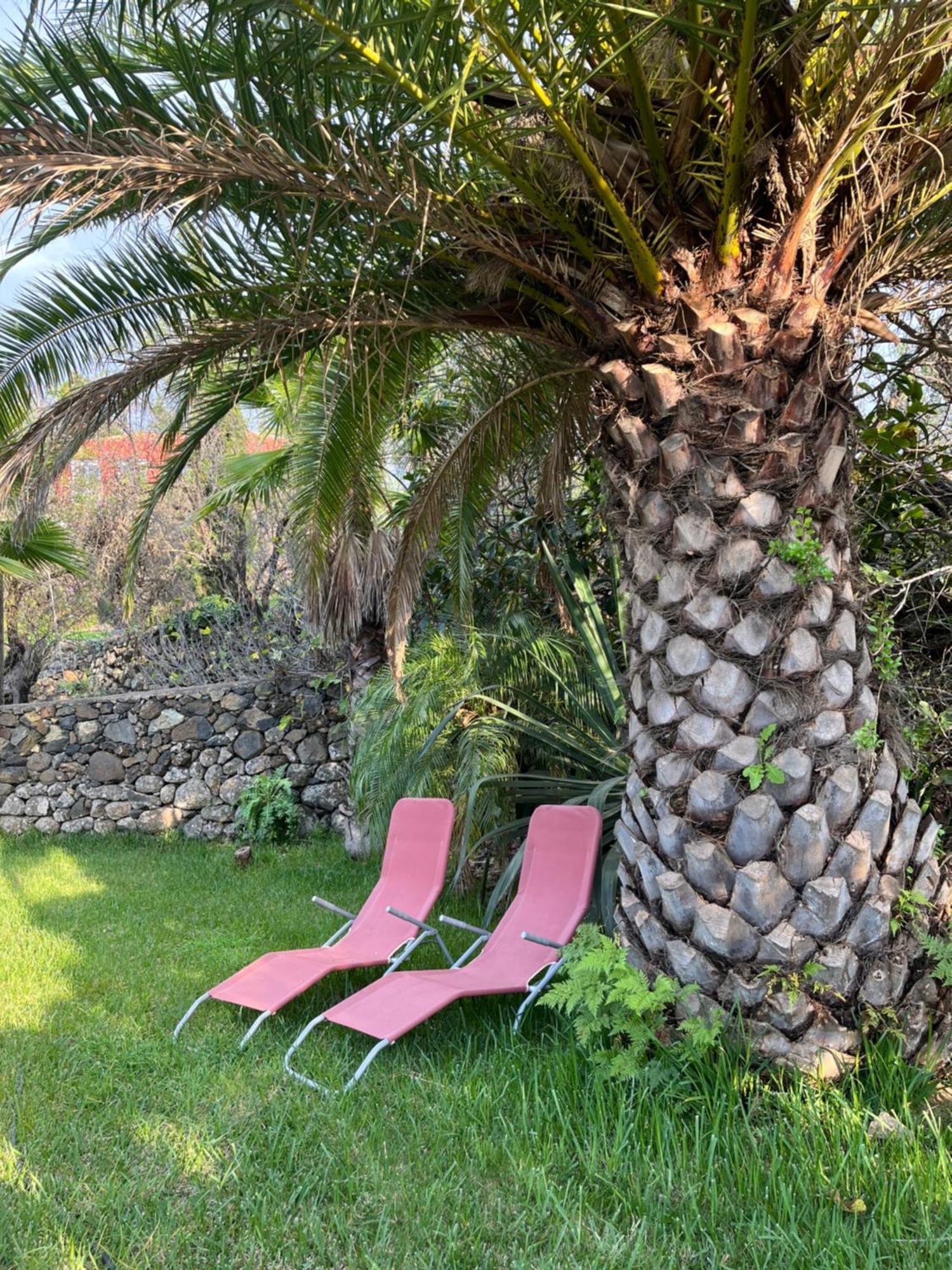 Feriendomizil Finca Tijarafe Mit Beheiztem, Abdeckbarem Pool Εξωτερικό φωτογραφία